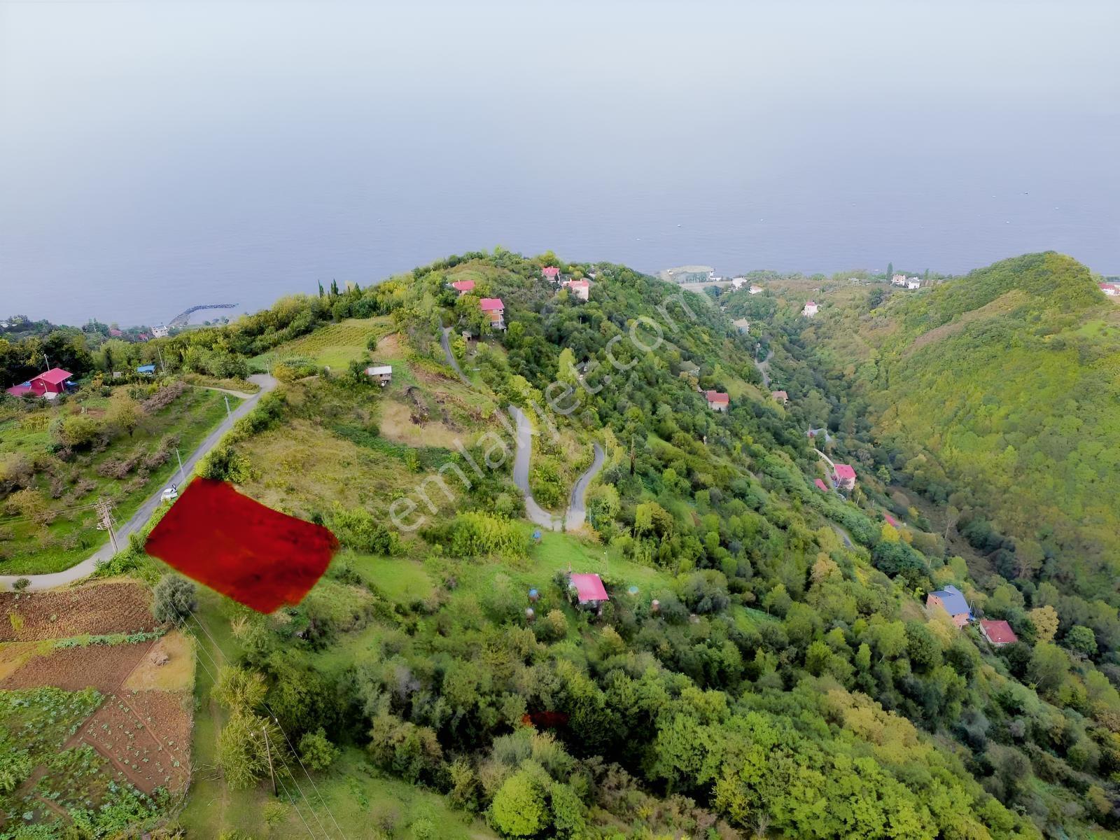 Trabzon Mersinde Deniz Manzaralı Arazi — fotoğraf 2