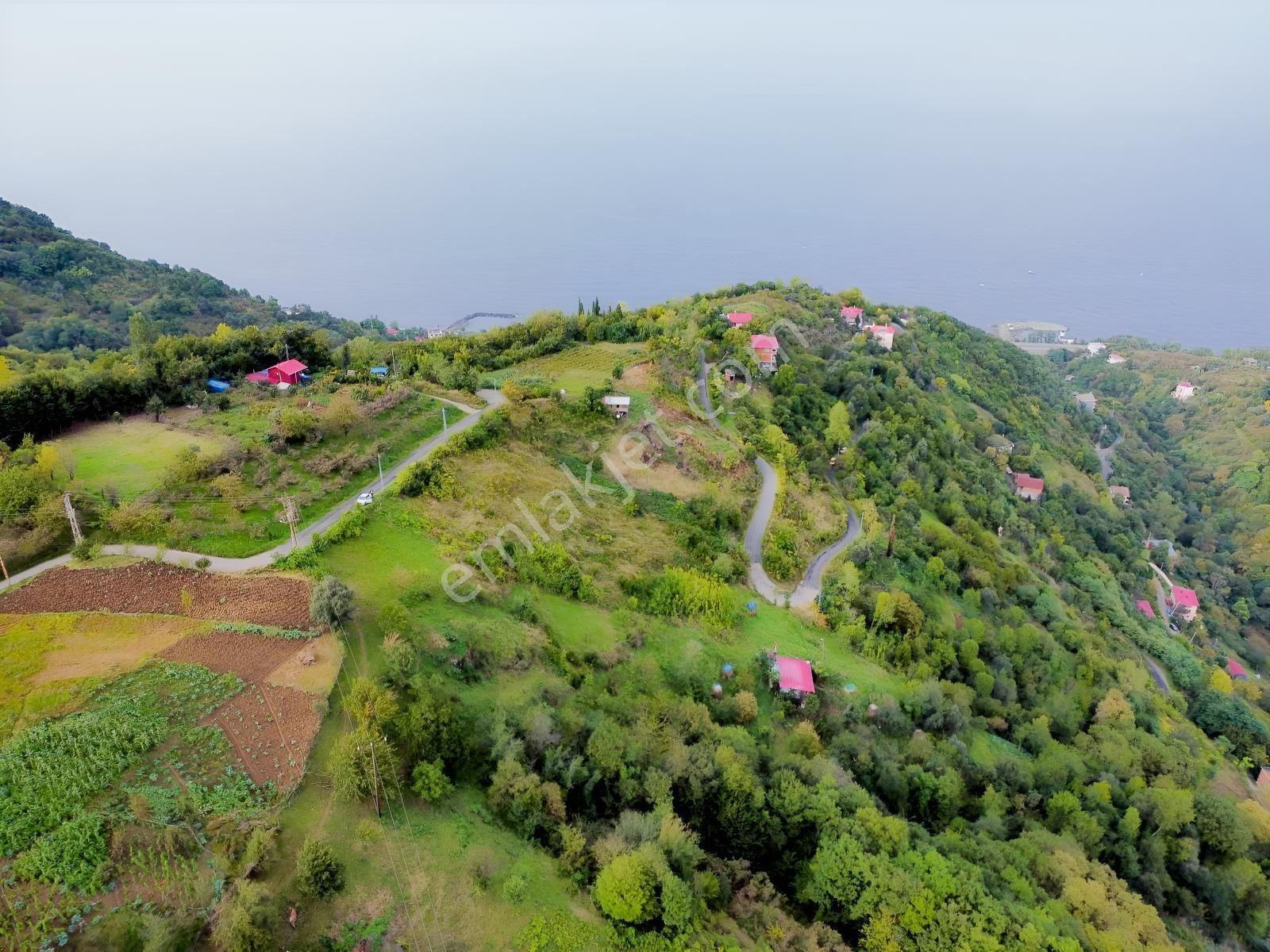 Trabzon Mersinde Deniz Manzaralı Arazi — fotoğraf 3