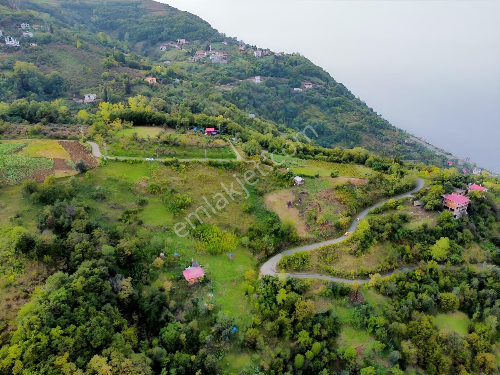 Trabzon Mersinde Deniz Manzaralı Arazi — fotoğraf 4