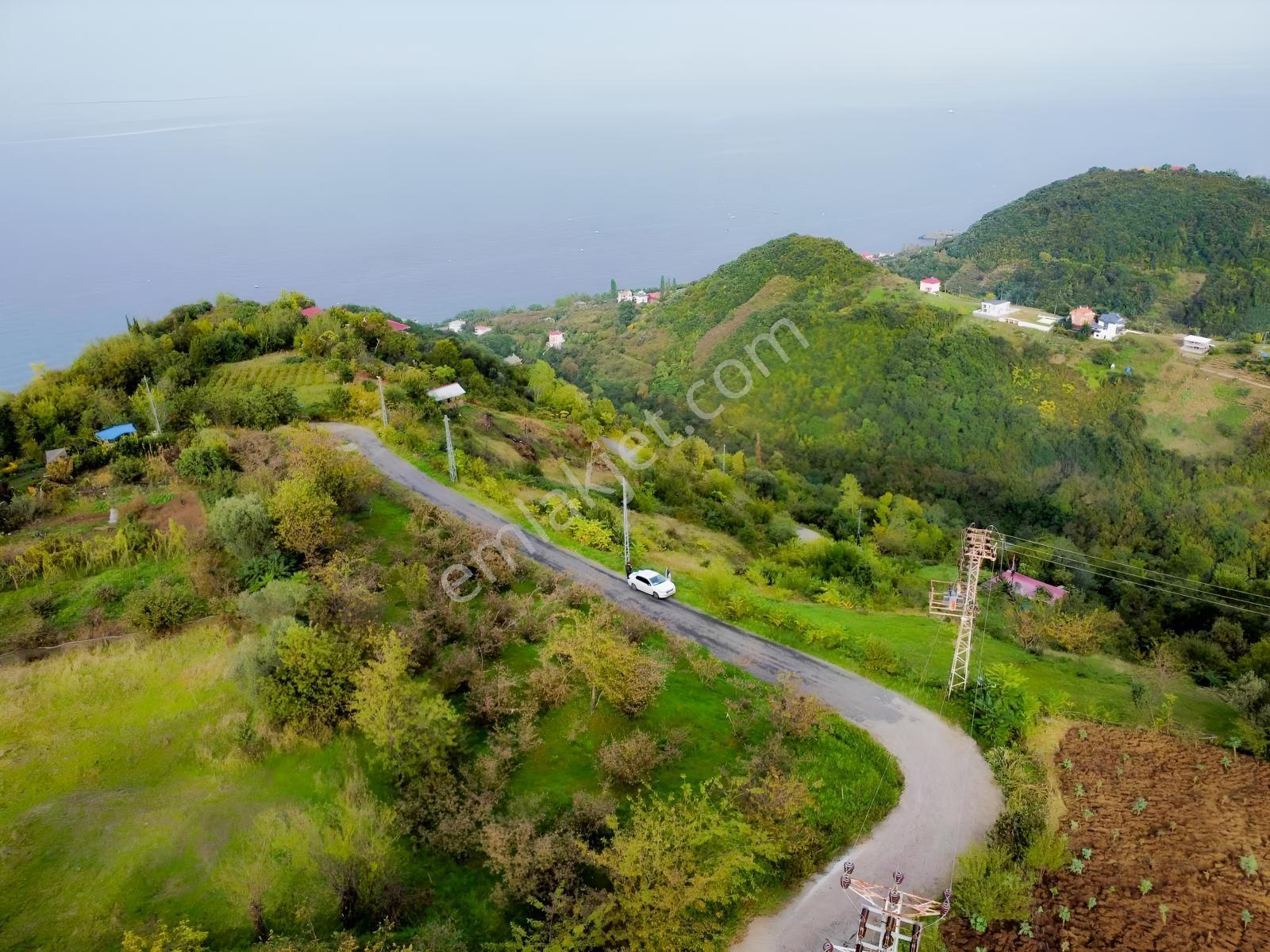Trabzon Mersinde Deniz Manzaralı Arazi — fotoğraf 5