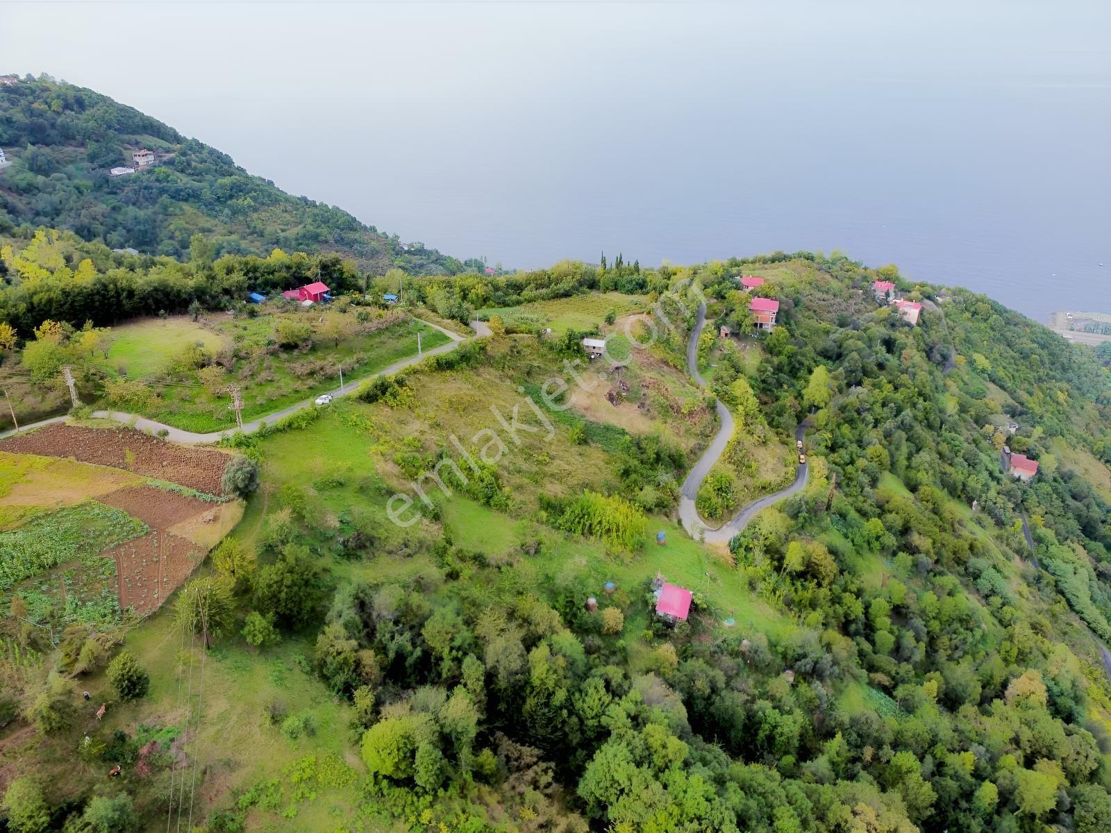 Trabzon Mersinde Deniz Manzaralı Arazi — fotoğraf 6