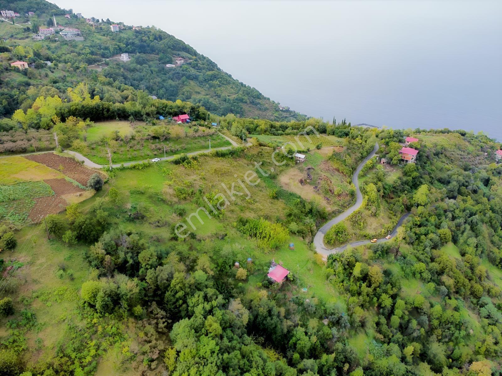Trabzon Mersinde Deniz Manzaralı Arazi — fotoğraf 7