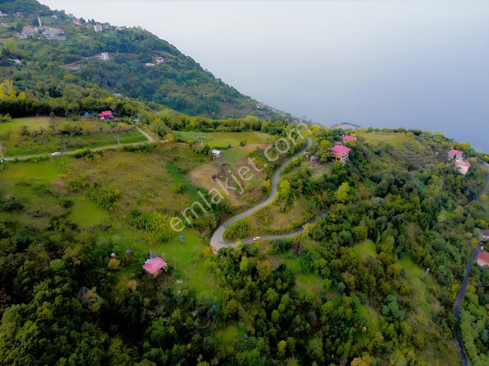 Trabzon Mersinde Deniz Manzaralı Arazi — fotoğraf 8