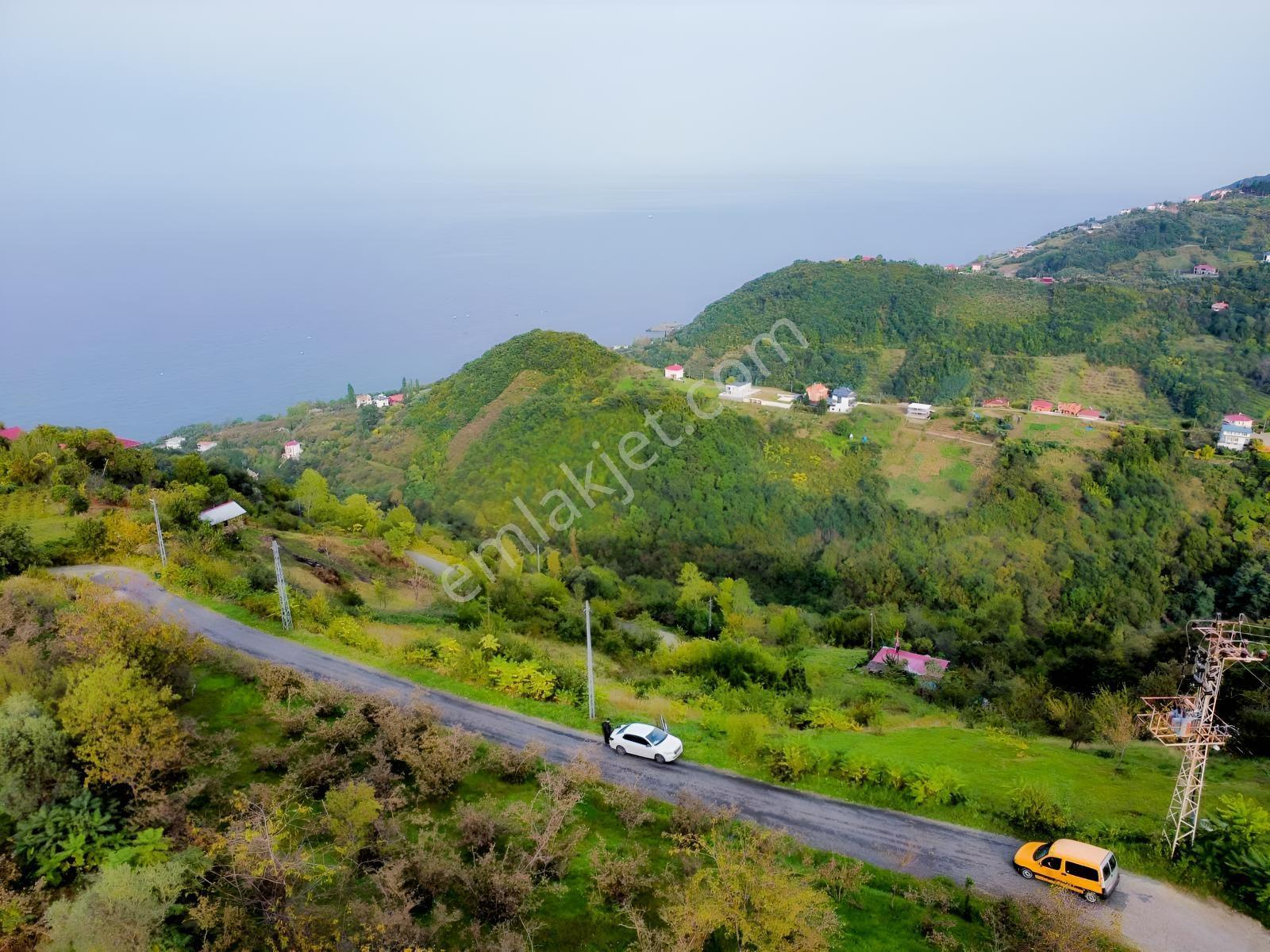 Trabzon Mersinde Deniz Manzaralı Arazi — fotoğraf 9