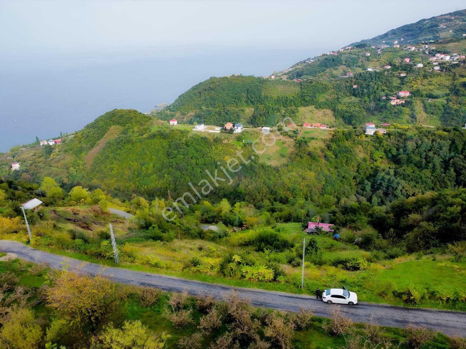 Trabzon Mersinde Deniz Manzaralı Arazi — fotoğraf 10