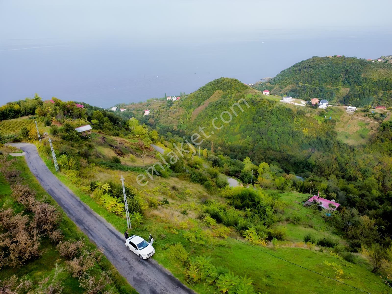Trabzon Mersinde Deniz Manzaralı Arazi — fotoğraf 11