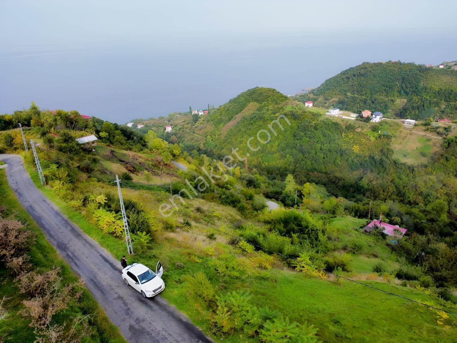 Trabzon Mersinde Deniz Manzaralı Arazi — fotoğraf 12