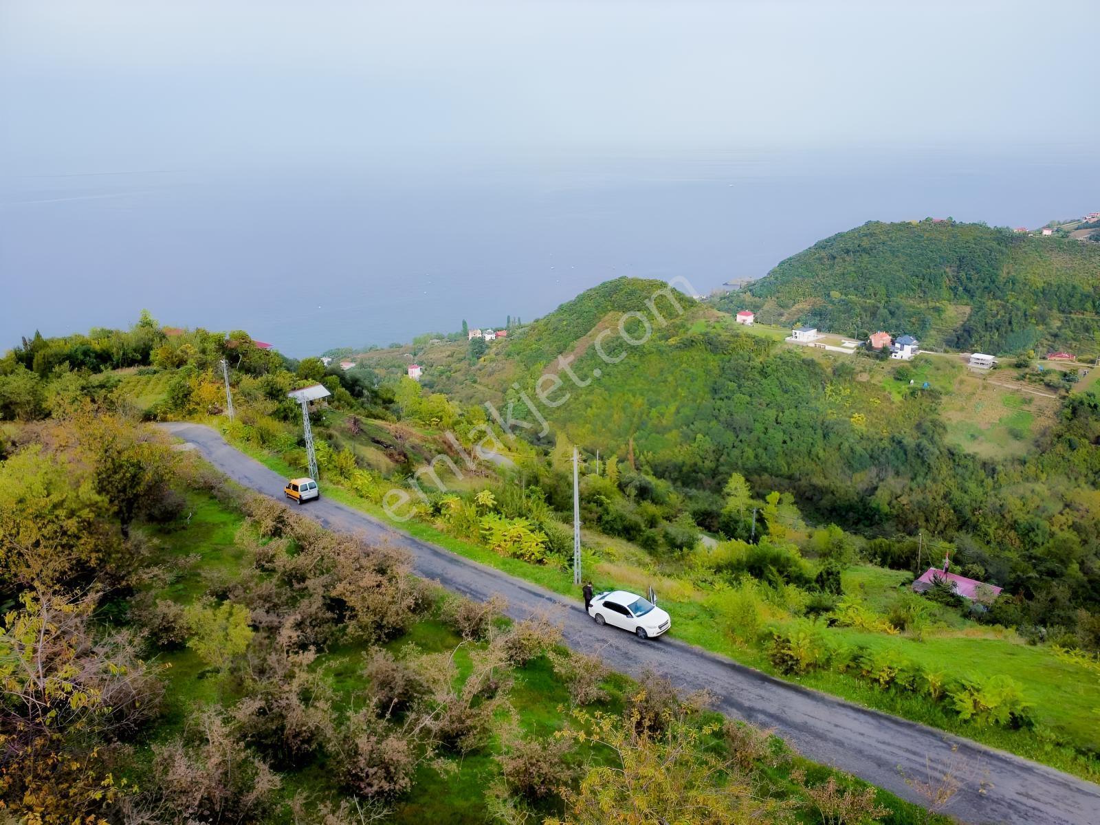 Trabzon Mersinde Deniz Manzaralı Arazi — fotoğraf 13