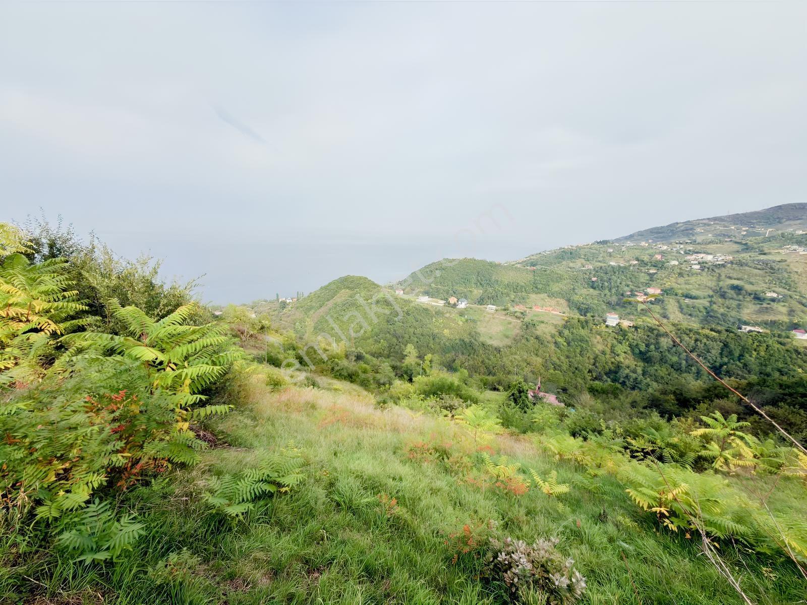 Trabzon Mersinde Deniz Manzaralı Arazi — fotoğraf 14
