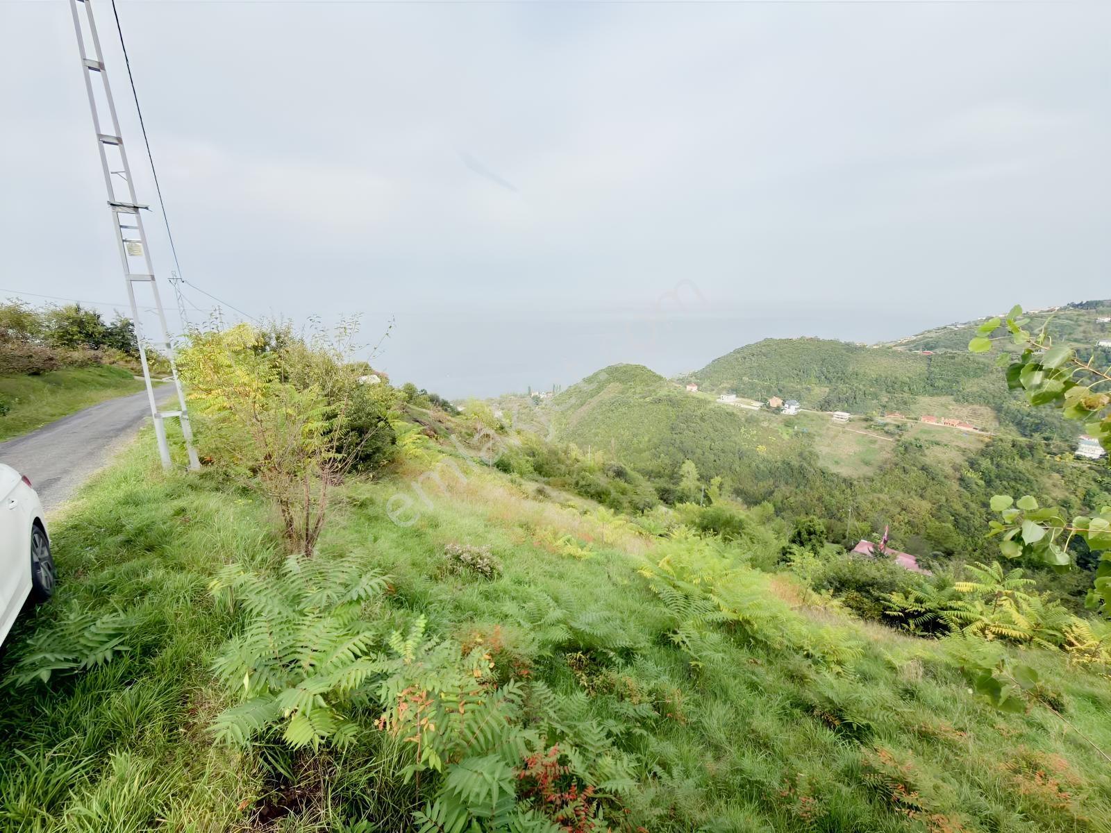 Trabzon Mersinde Deniz Manzaralı Arazi — fotoğraf 15