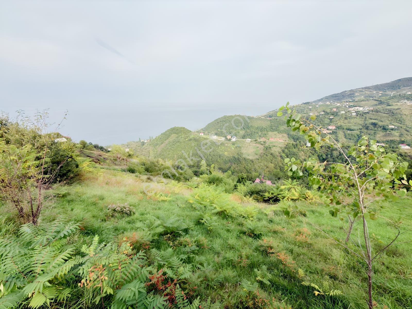 Trabzon Mersinde Deniz Manzaralı Arazi — fotoğraf 16