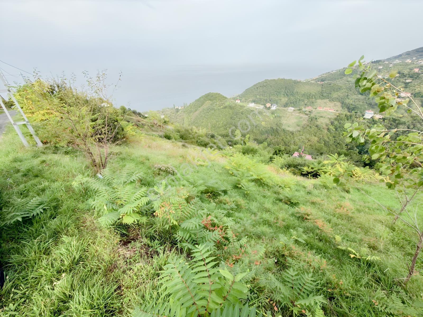 Trabzon Mersinde Deniz Manzaralı Arazi — fotoğraf 17
