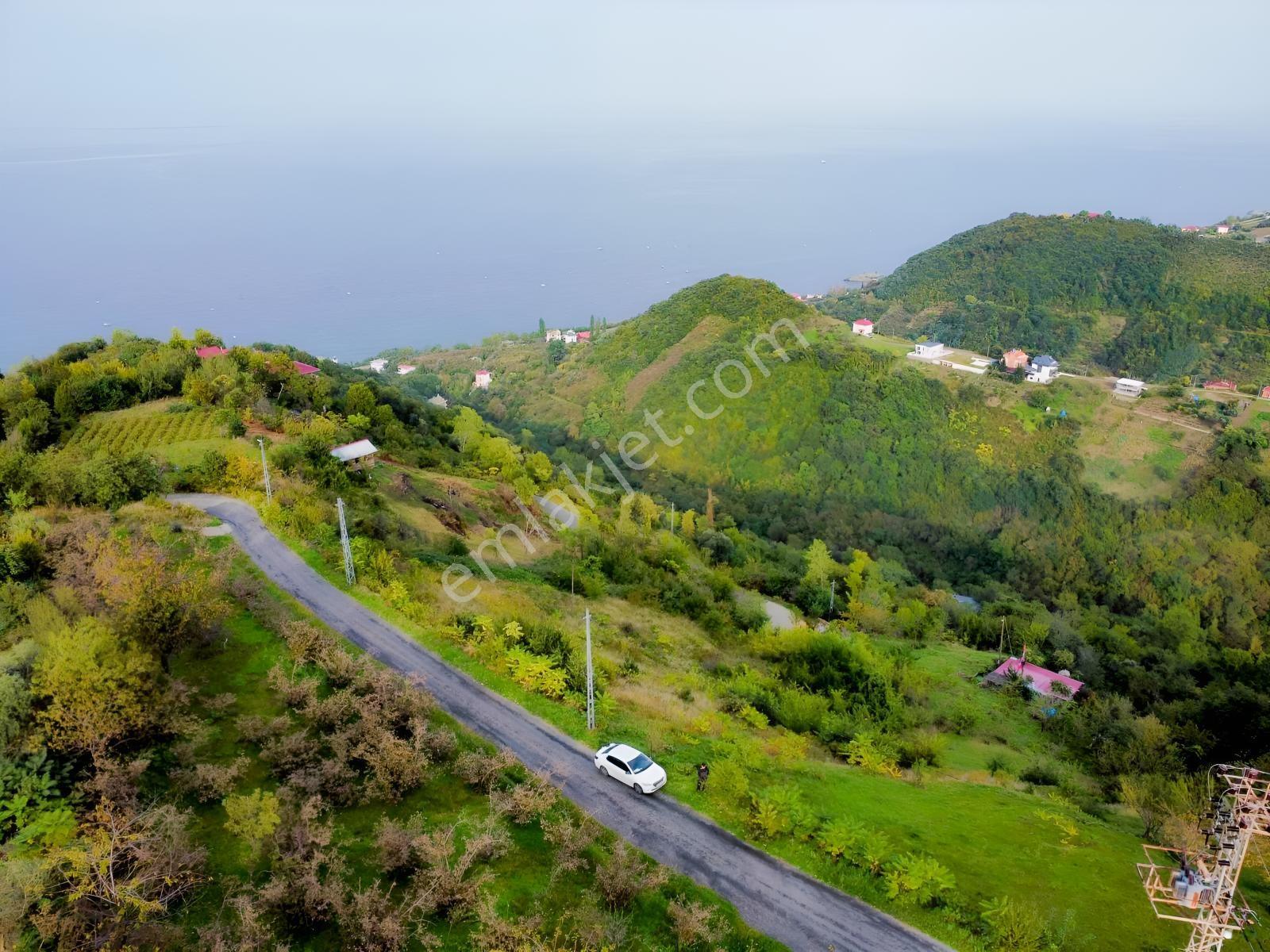 Trabzon Mersinde Deniz Manzaralı Arazi — fotoğraf 18