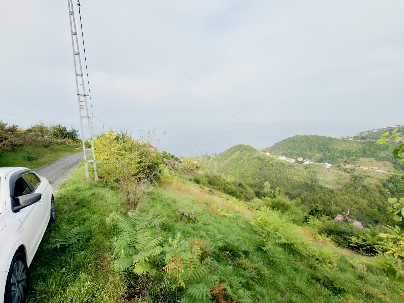 Trabzon Mersinde Deniz Manzaralı Arazi — fotoğraf 19