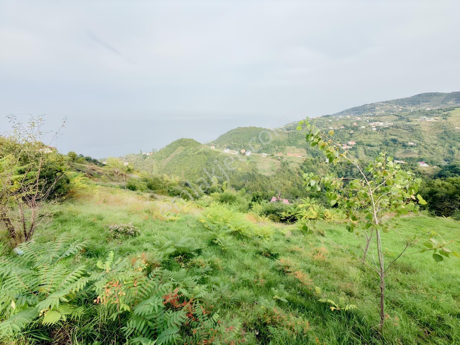Trabzon Mersinde Deniz Manzaralı Arazi — fotoğraf 20