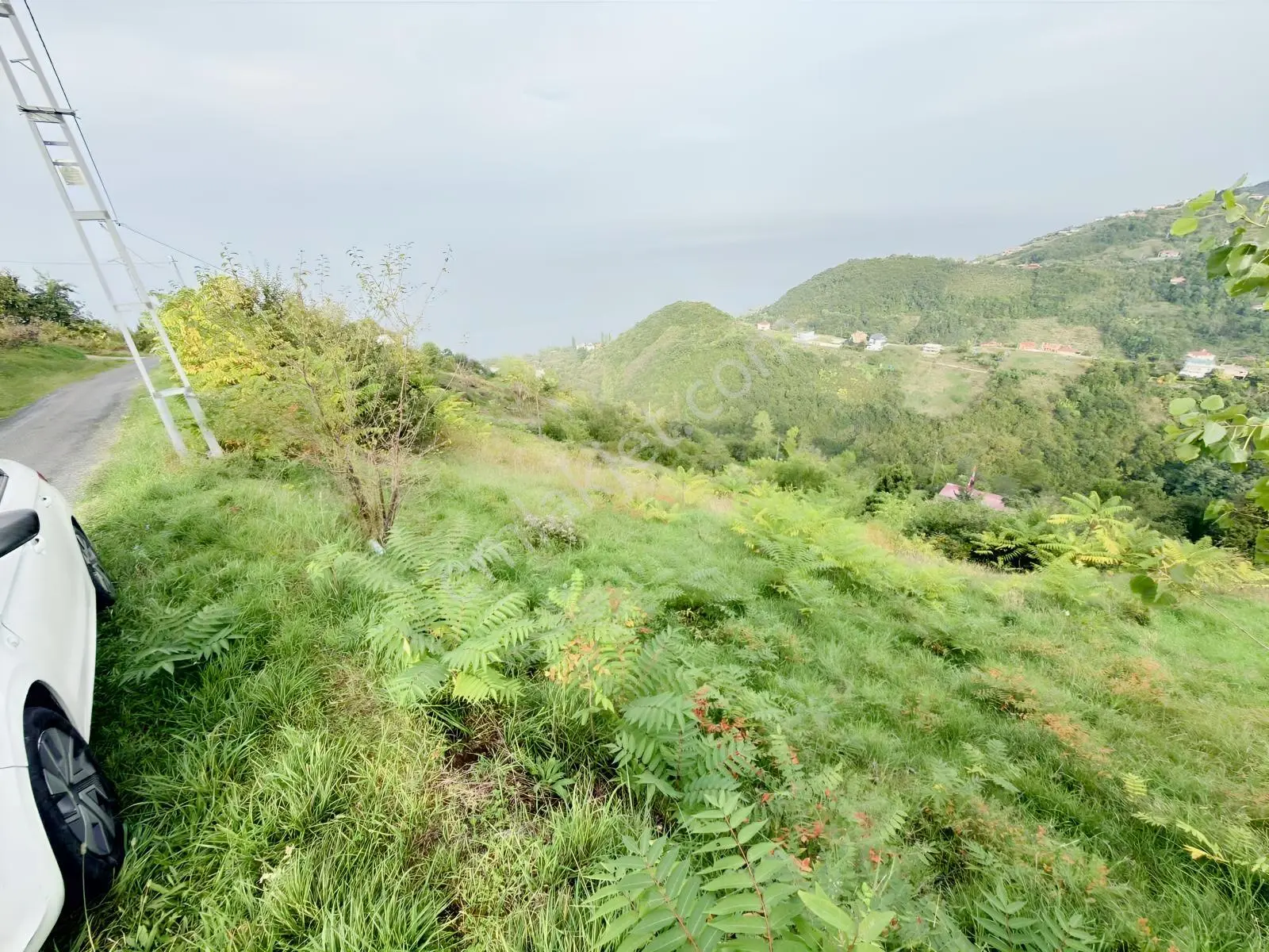 Trabzon Mersinde Deniz Manzaralı Arazi — fotoğraf 21