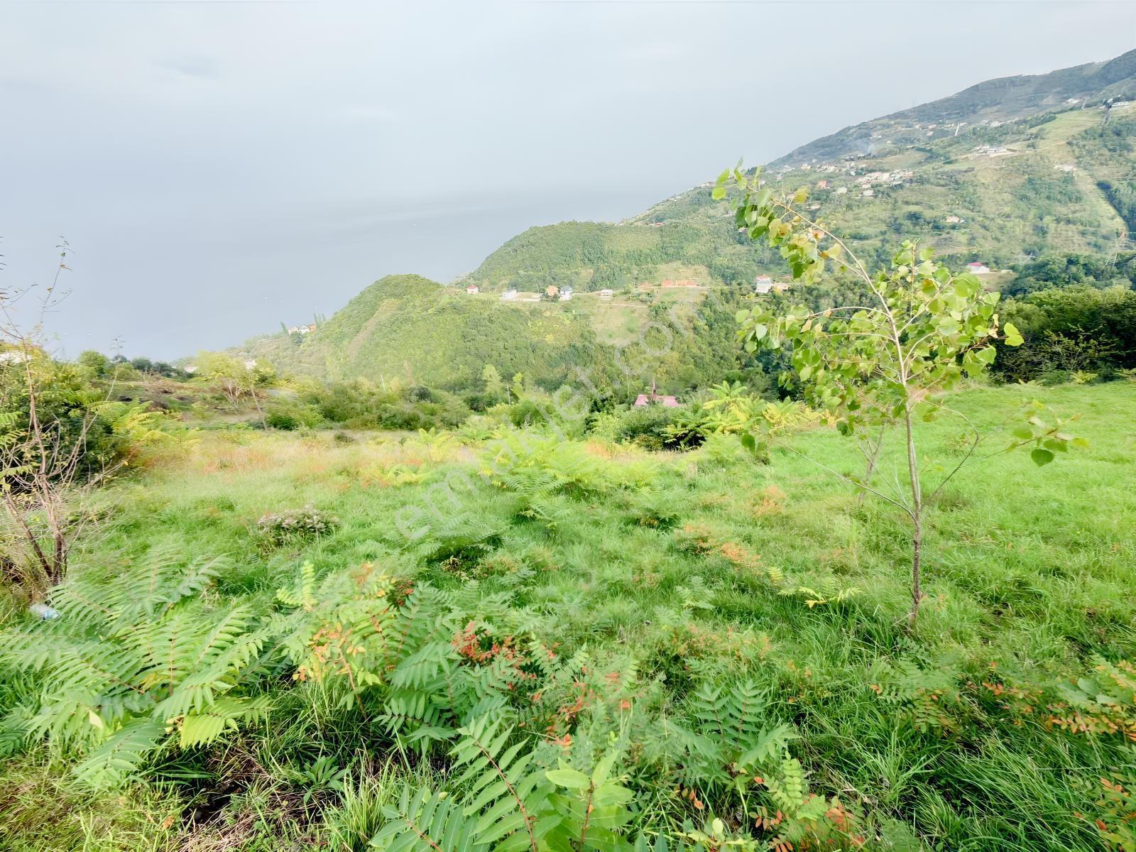 Trabzon Mersinde Deniz Manzaralı Arazi — fotoğraf 22