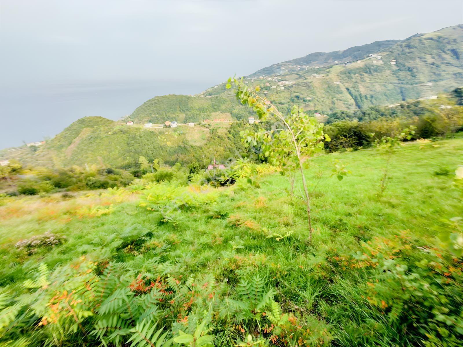 Trabzon Mersinde Deniz Manzaralı Arazi — fotoğraf 23