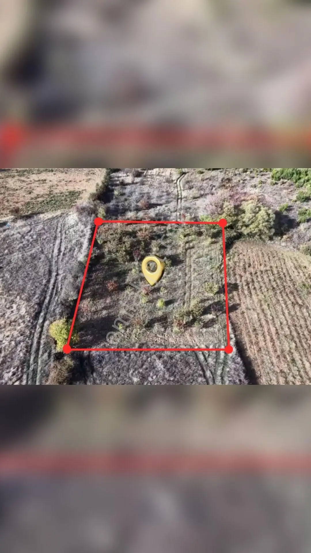 Manisa Turgutlu Dağyeniköy’De 1.907 M² Müstakil Tapulu Satılık Tarla