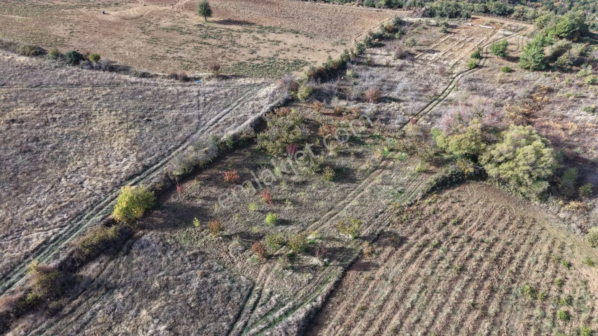 Manisa Turgutlu Dağyeniköy’de 1.907 M² Müstakil Tapulu Satılık Tarla — fotoğraf 2