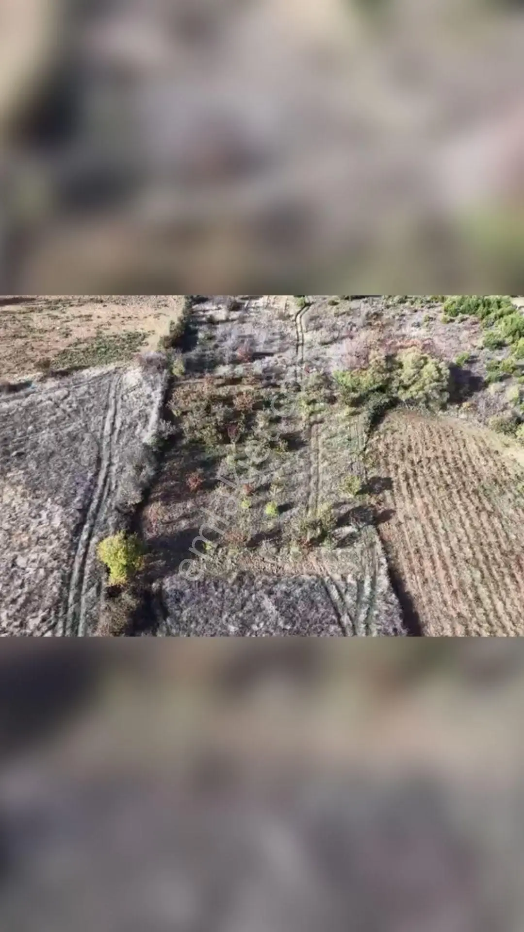 Manisa Turgutlu Dağyeniköy’de 1.907 M² Müstakil Tapulu Satılık Tarla — fotoğraf 3