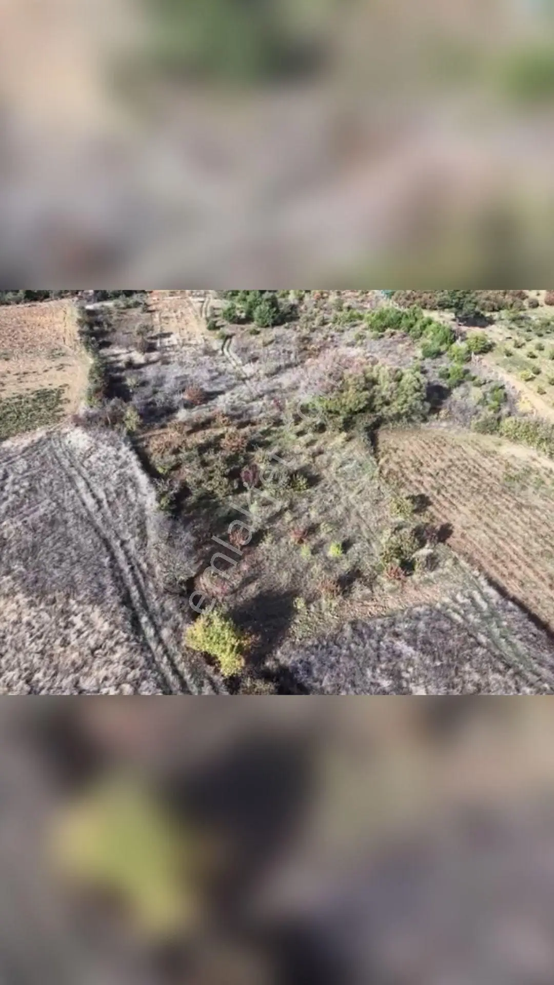 Manisa Turgutlu Dağyeniköy’de 1.907 M² Müstakil Tapulu Satılık Tarla — fotoğraf 4