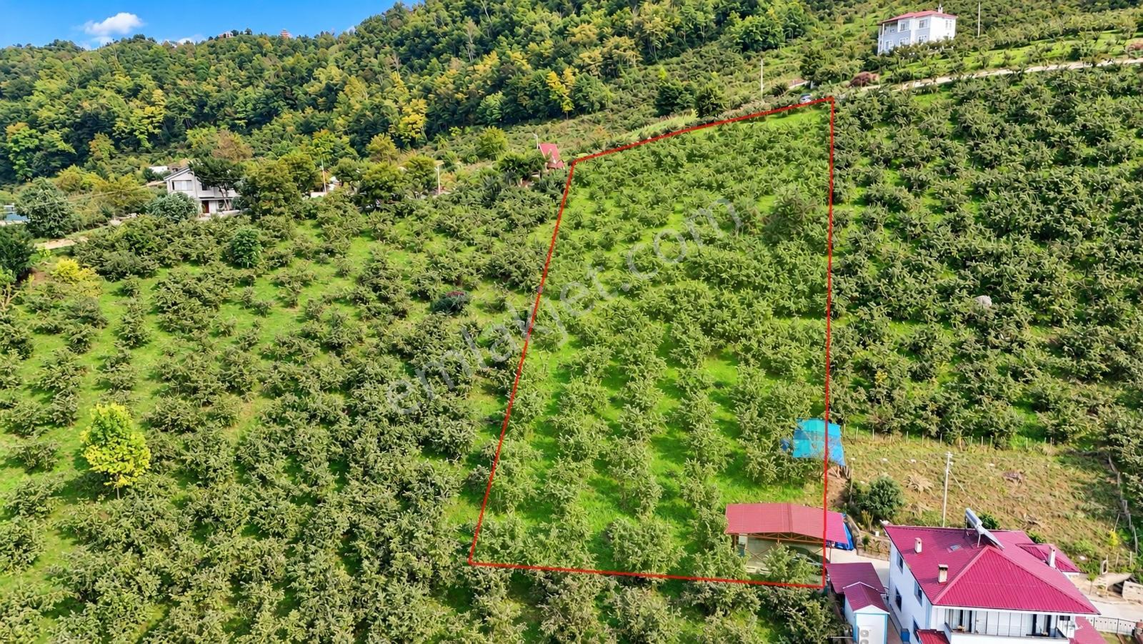 Akçaabat Derecik Çevreli'de Satılık Arazi — fotoğraf 4