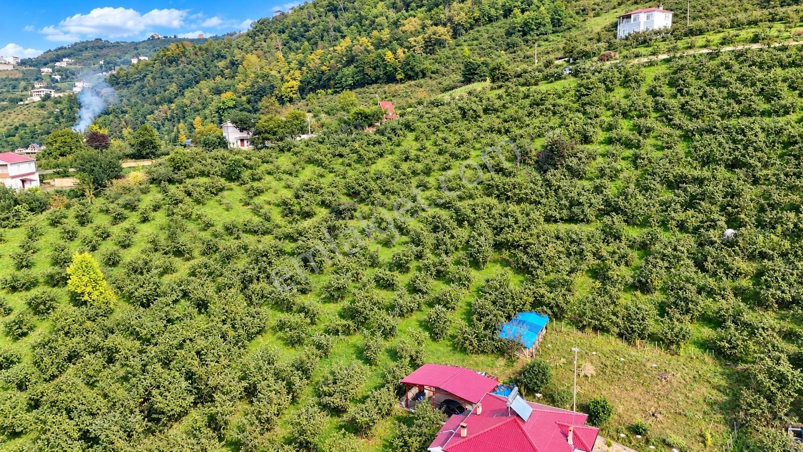 Akçaabat Derecik Çevreli'de Satılık Arazi — fotoğraf 5