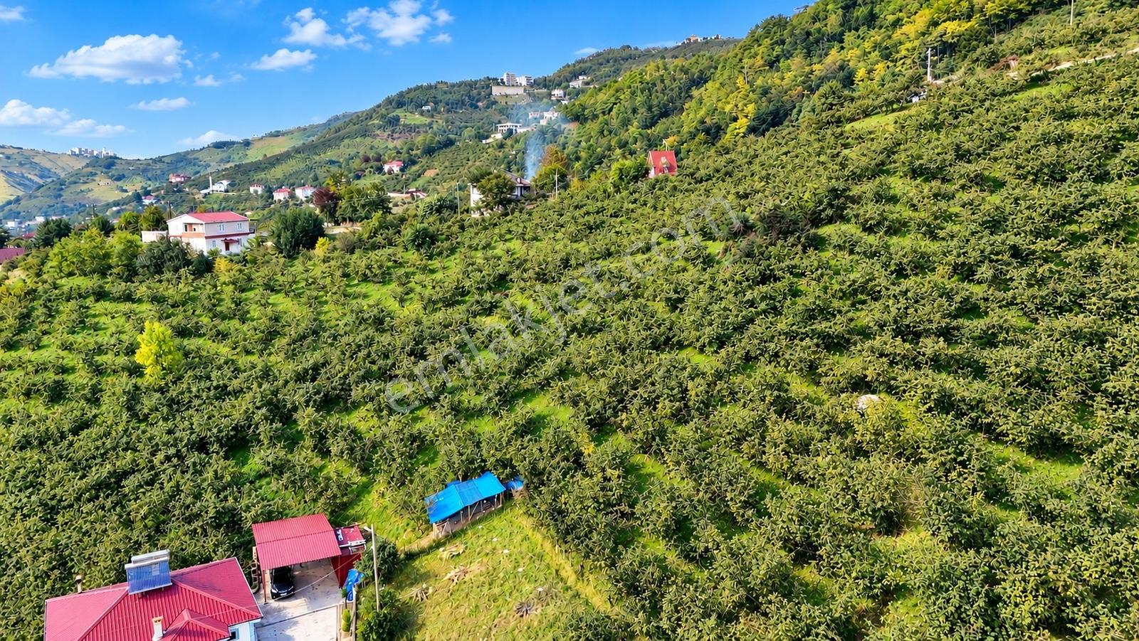 Akçaabat Derecik Çevreli'de Satılık Arazi — fotoğraf 8