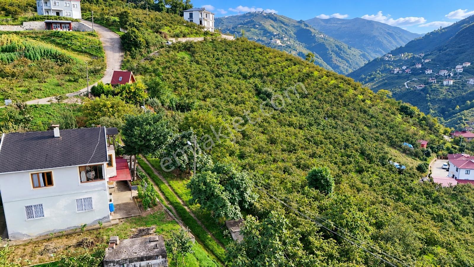 Akçaabat Derecik Çevreli'de Satılık Arazi — fotoğraf 9