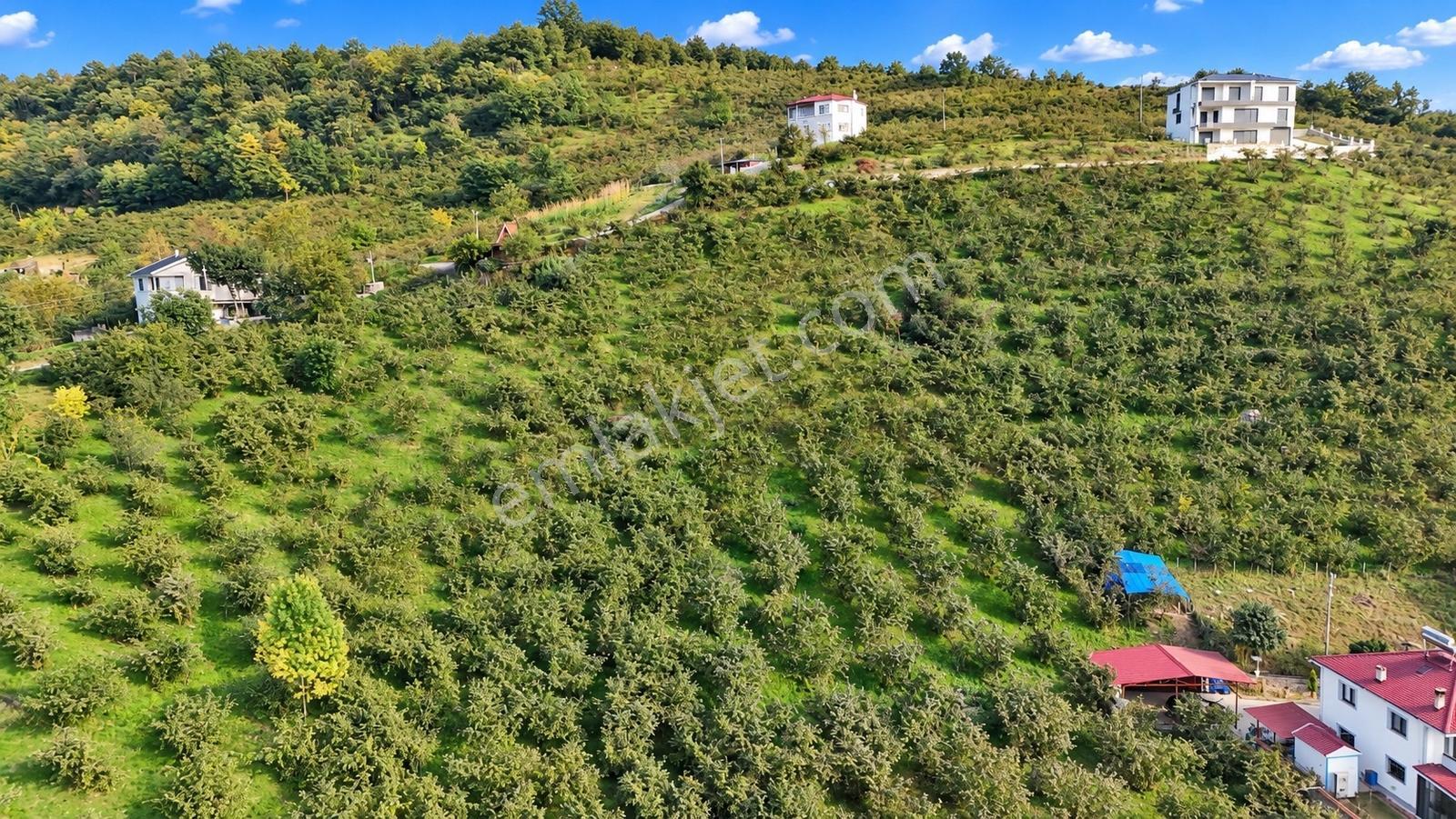 Akçaabat Derecik Çevreli'de Satılık Arazi — fotoğraf 10