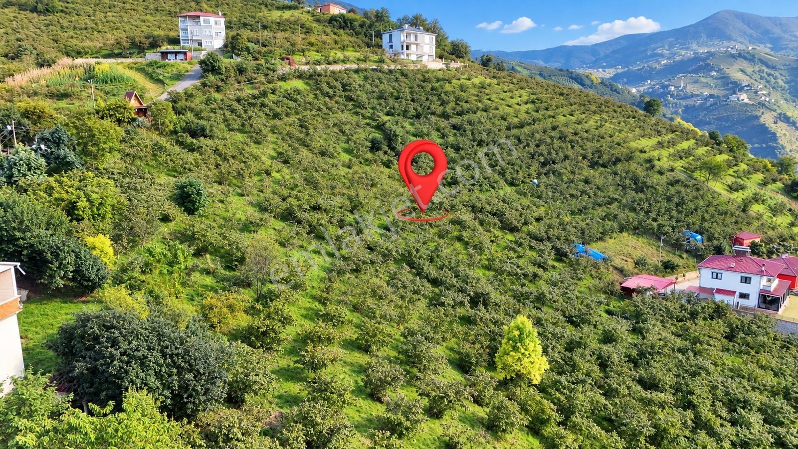 Akçaabat Derecik Çevreli'de Satılık Arazi — fotoğraf 12