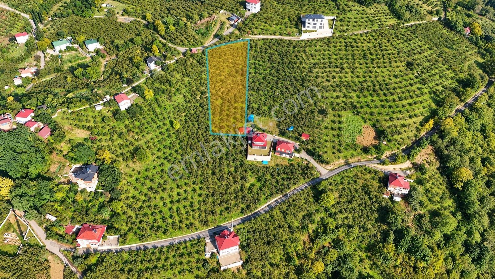 Akçaabat Derecik Çevreli'de Satılık Arazi — fotoğraf 13