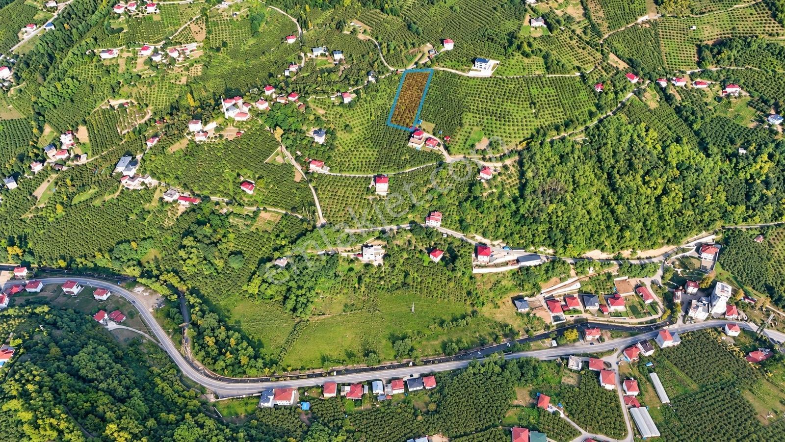 Akçaabat Derecik Çevreli'de Satılık Arazi — fotoğraf 14