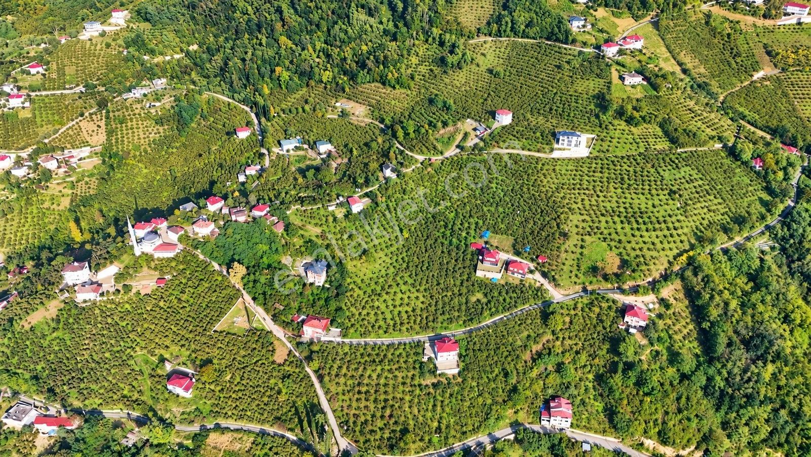 Akçaabat Derecik Çevreli'de Satılık Arazi — fotoğraf 16