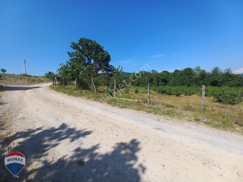 Remax Mavi- Yeşilyayla Mh Doğa İçinde 6.240 M2 Villa İmarlı Arsa — fotoğraf 9