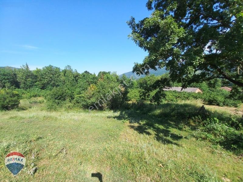 Remax Mavi- Yeşilyayla Mh Doğa İçinde 6.240 M2 Villa İmarlı Arsa — fotoğraf 16