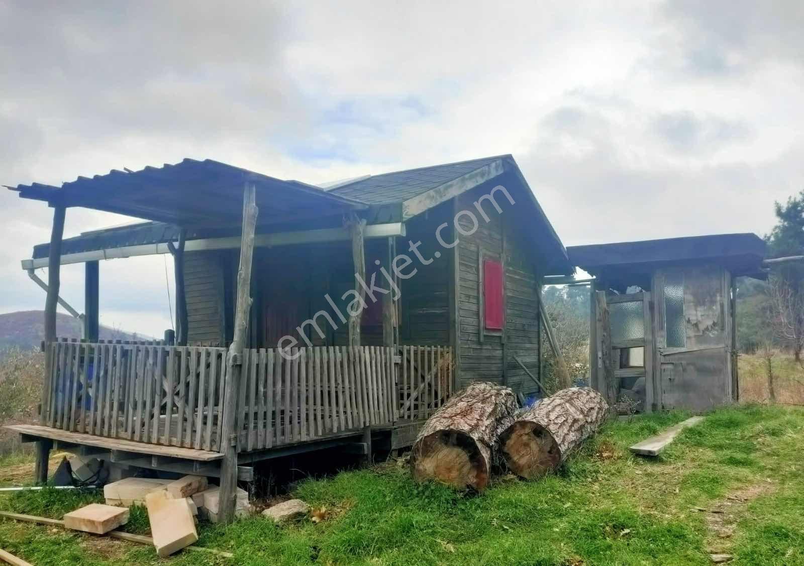 Kaz Dağlarının Eteklerinde Yatırım Fırsatı! 11.200m² — fotoğraf 3