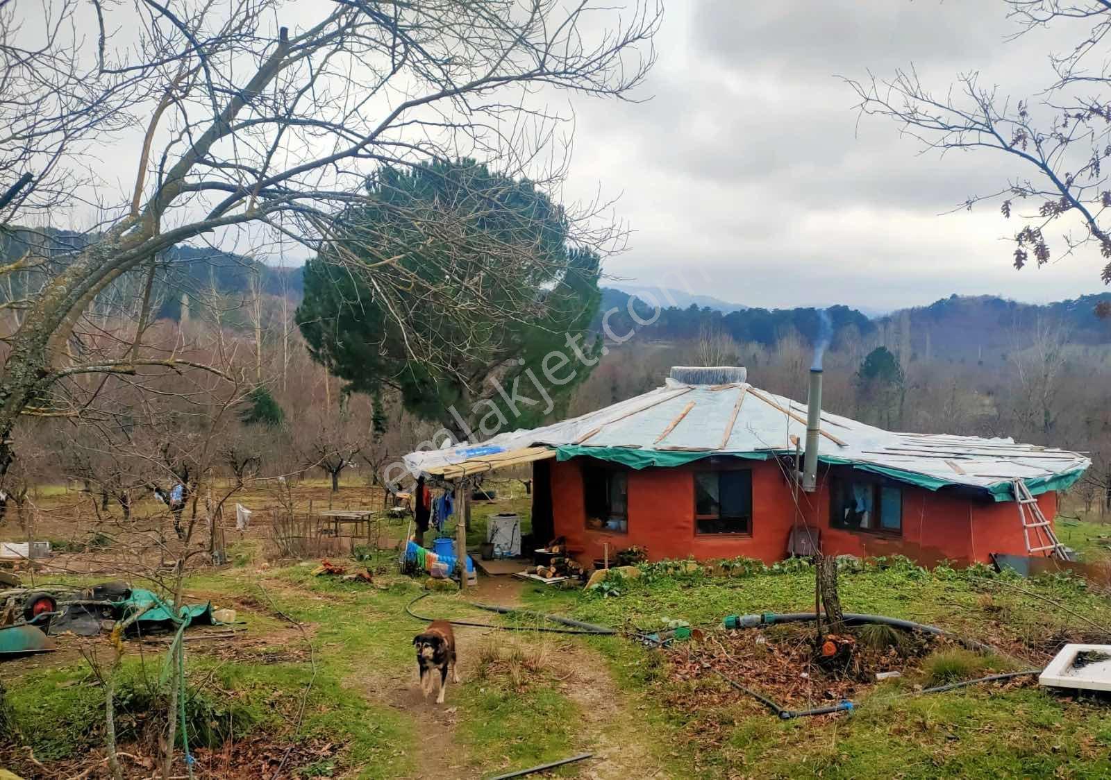 Kaz Dağlarının Eteklerinde Yatırım Fırsatı! 11.200m² — fotoğraf 4