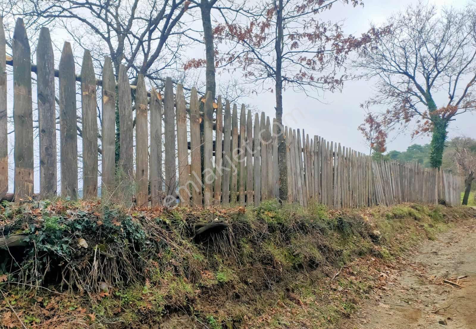 Kaz Dağlarının Eteklerinde Yatırım Fırsatı! 11.200m² — fotoğraf 10