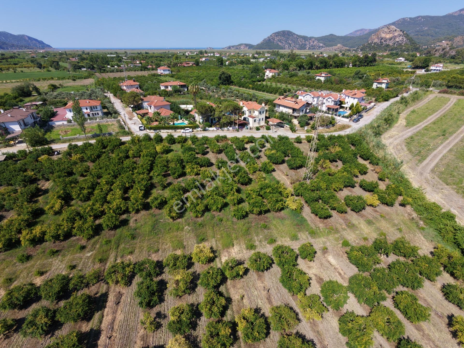 Dalyan Arıkbaşı Da 500 M2 Villa İmarlı Satılık Arsa, 2 Kat İmarlı, %15-30 — fotoğraf 2