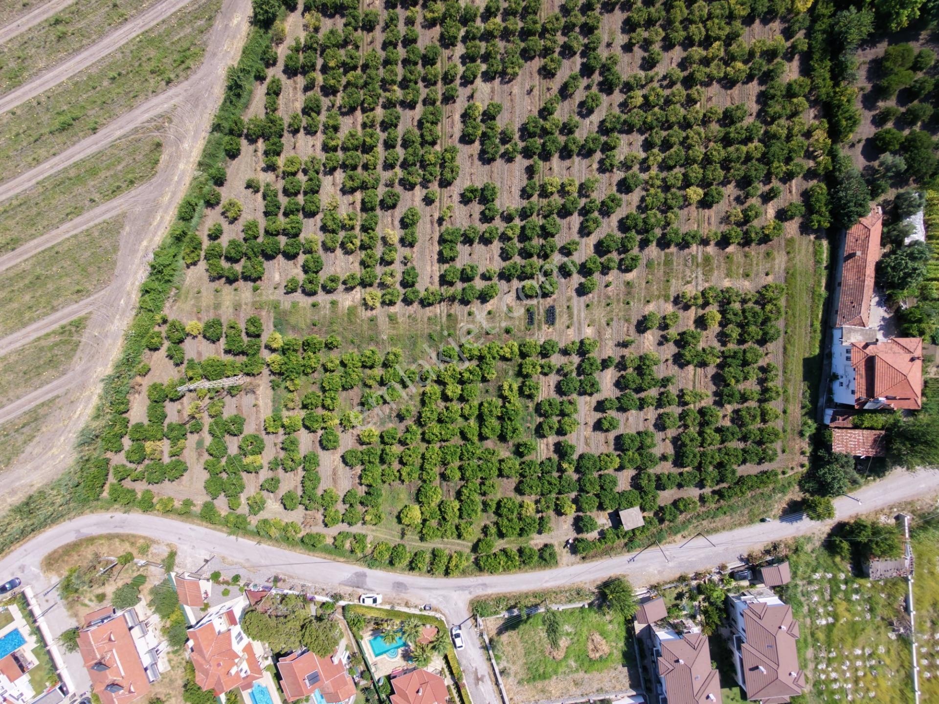 Dalyan Arıkbaşı Da 500 M2 Villa İmarlı Satılık Arsa, 2 Kat İmarlı, %15-30 — fotoğraf 3