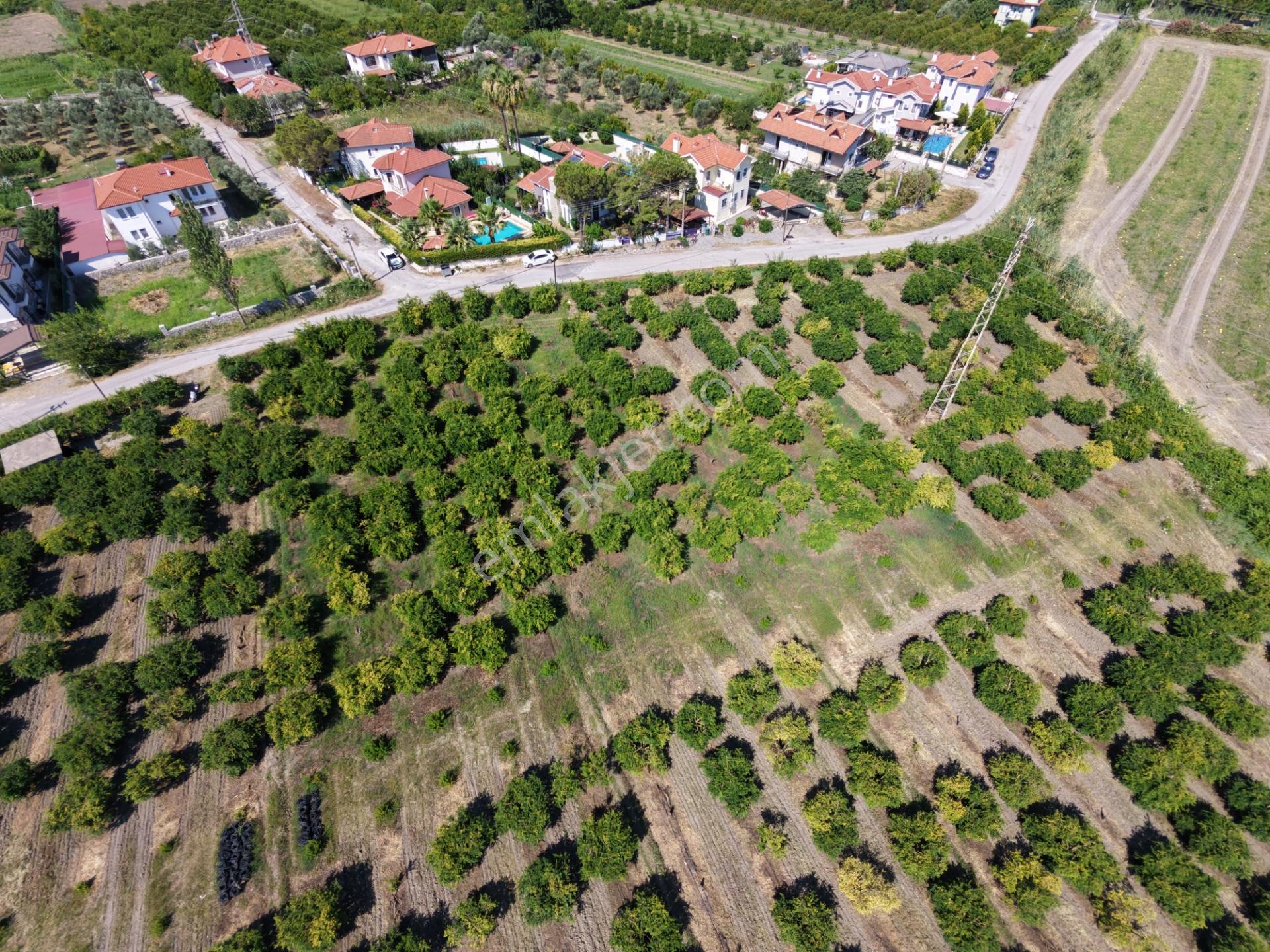 Dalyan Arıkbaşı Da 500 M2 Villa İmarlı Satılık Arsa, 2 Kat İmarlı, %15-30 — fotoğraf 4