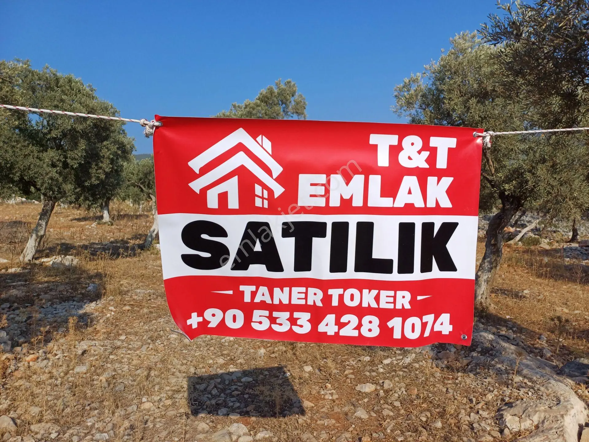 Mugla Milas Bafa'Da Kupon Satılık Zeytinlik