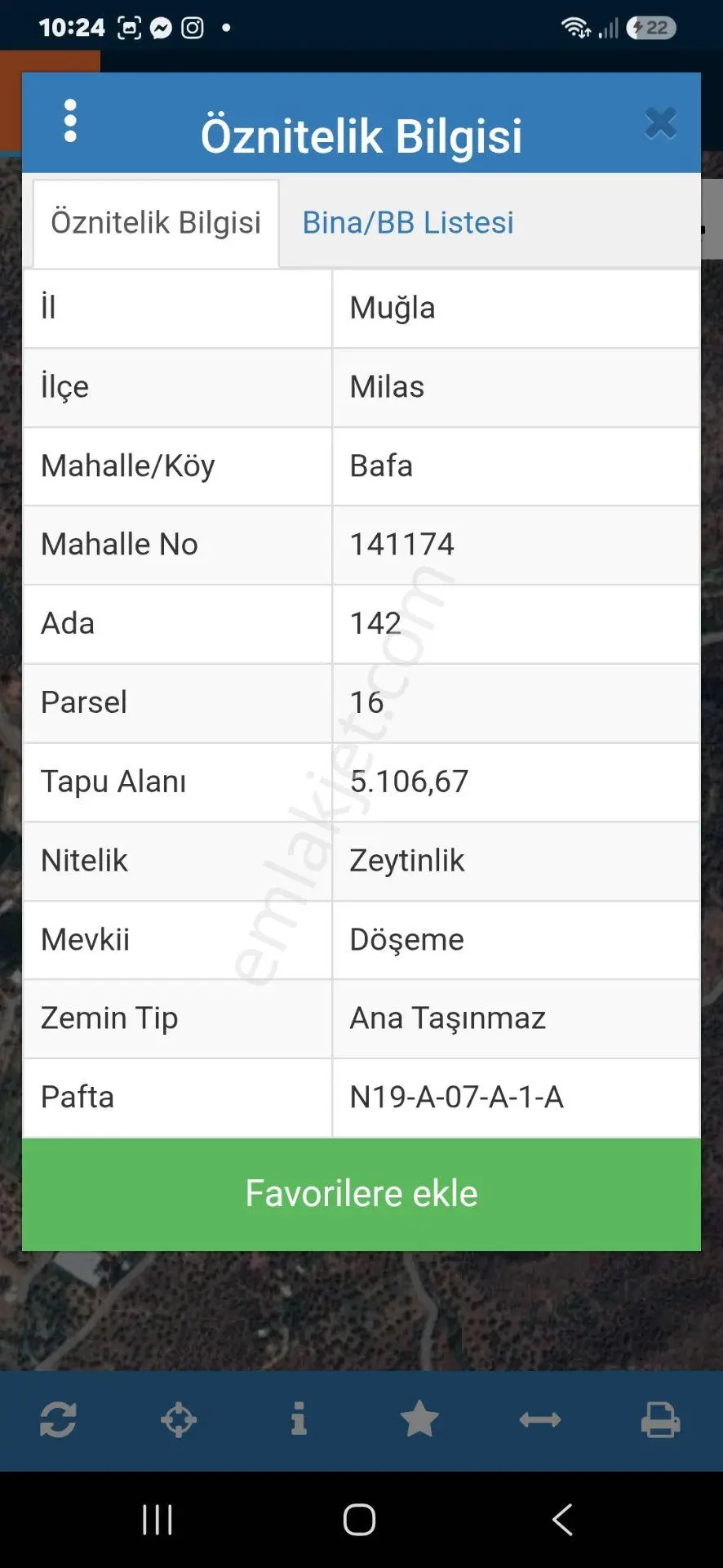 Mugla Milas Bafa'da Kupon Satılık Zeytinlik — fotoğraf 2