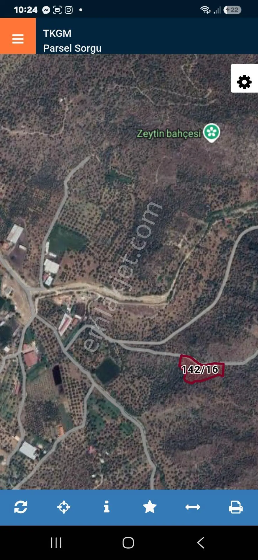 Mugla Milas Bafa'da Kupon Satılık Zeytinlik — fotoğraf 3