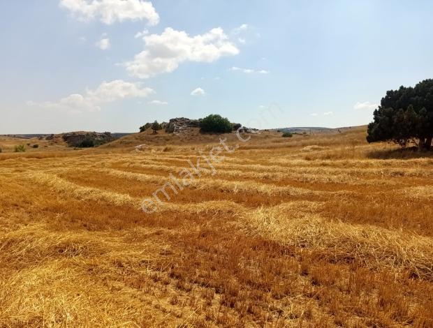 Durmaz Gayrimenkul'den Karaalan'da 6200 M2 Tarla — fotoğraf 5