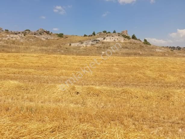 Durmaz Gayrimenkul'den Karaalan'da 6200 M2 Tarla — fotoğraf 6