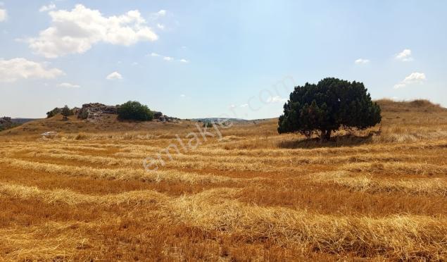 Durmaz Gayrimenkul'den Karaalan'da 6200 M2 Tarla — fotoğraf 7