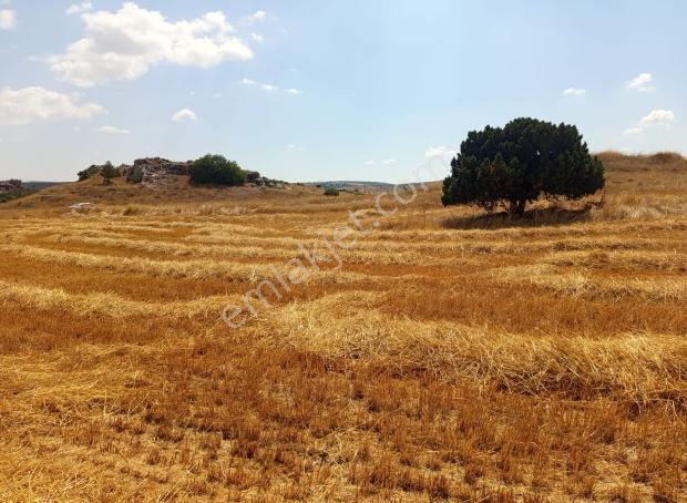 Durmaz Gayrimenkul'den Karaalan'da 6200 M2 Tarla — fotoğraf 8